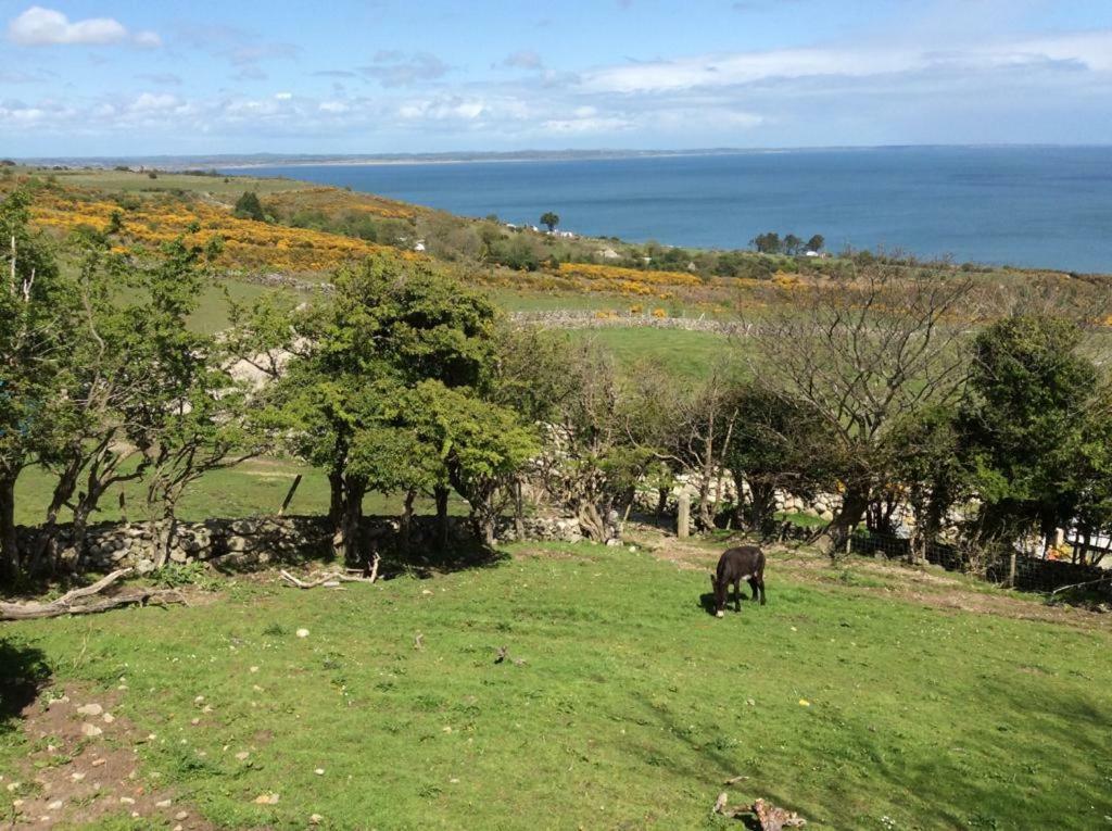 Stunning Views At Ballagh Cottage Newcastle Newcastle  Exteriör bild